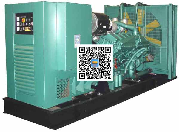 西昌笼型异步发电机的电力电子控制技术